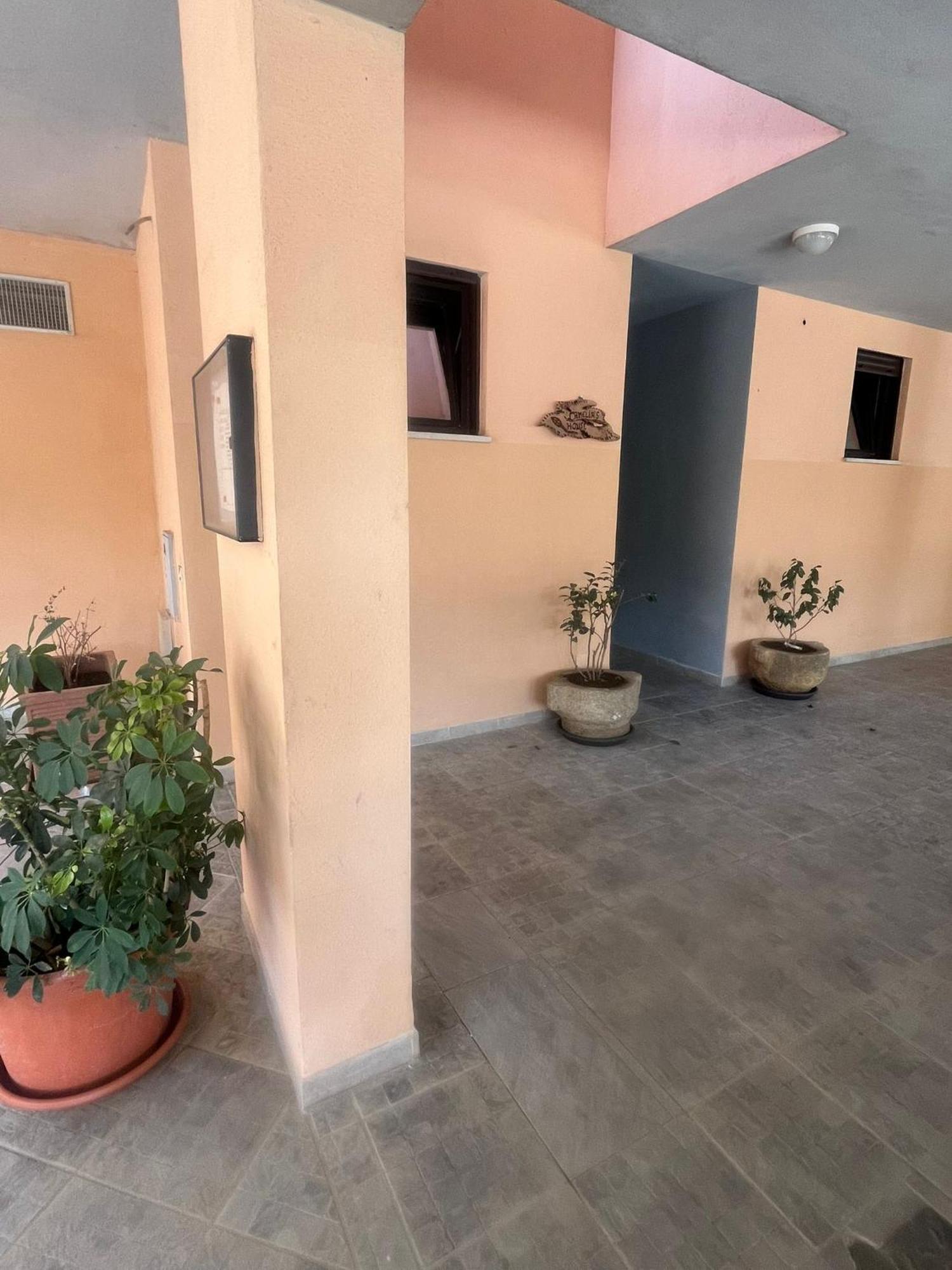 Camelia'S House Apartment Olbia Exterior photo